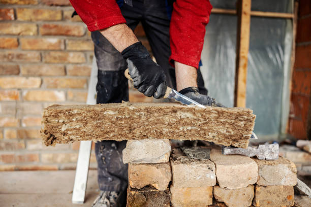 Best Insulation Removal  in Selmer, TN