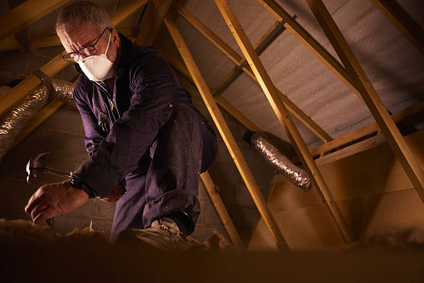 Best Insulation Contractor Near Me  in Selmer, TN